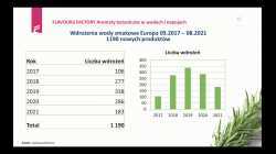 ROBERT SOKÃ“Å: â€œFLAVOURS FACTORY. Aromaty botaniczne w napojach. PomiÄ™dzy mainstreamem a innowacjami na przykÅ‚adzie wdroÅ¼eÅ„ produktowych w Europie.â€