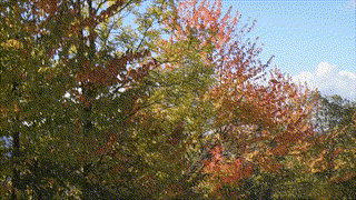 Jesien-idzie-nie-ma-na-to-rady